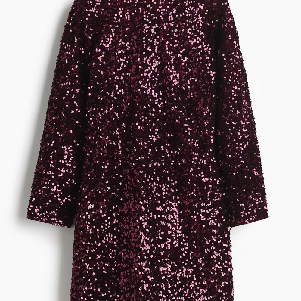 H&M Burgundy Sequin Dress